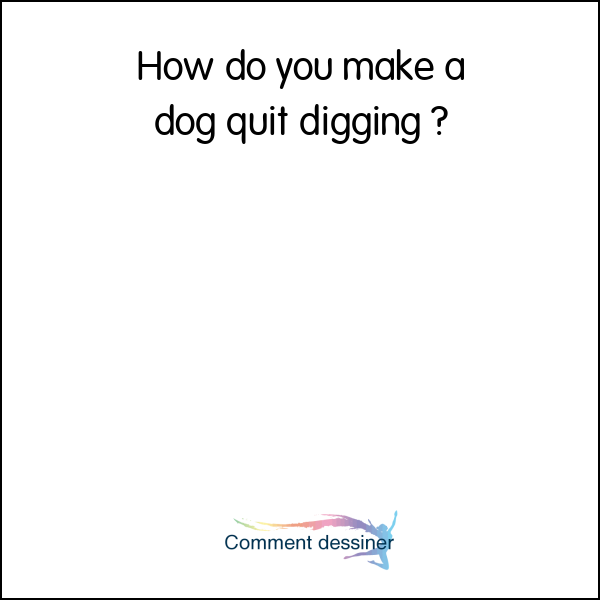 How do you make a dog quit digging